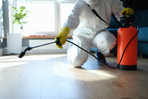 Reliable Sewage Cleanup contractor in Mesa, AZ by Trauma Clean Pros
